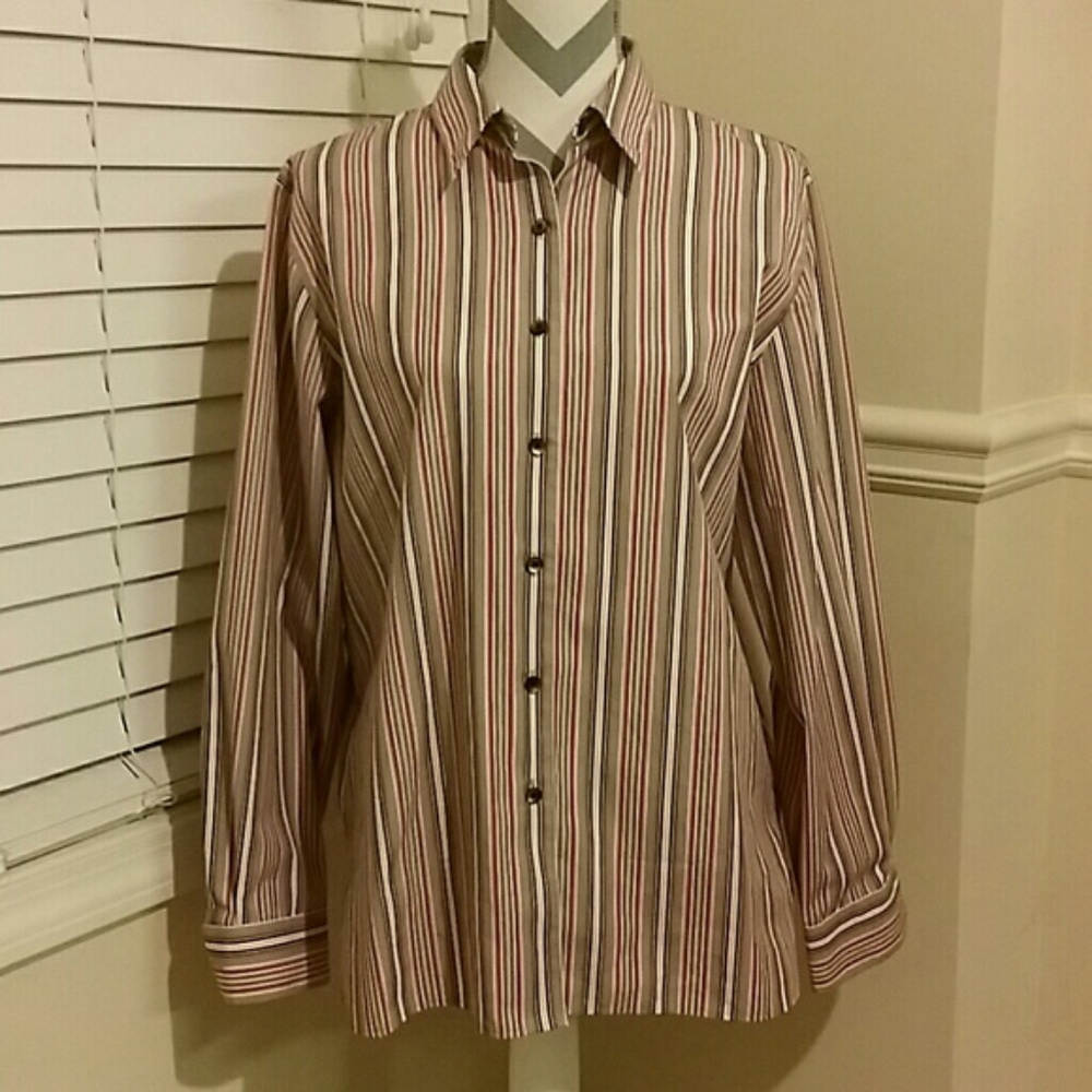Foxcroft Wrinkle Free Striped Button Up Size 14